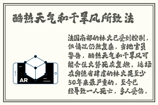 精品视频导航